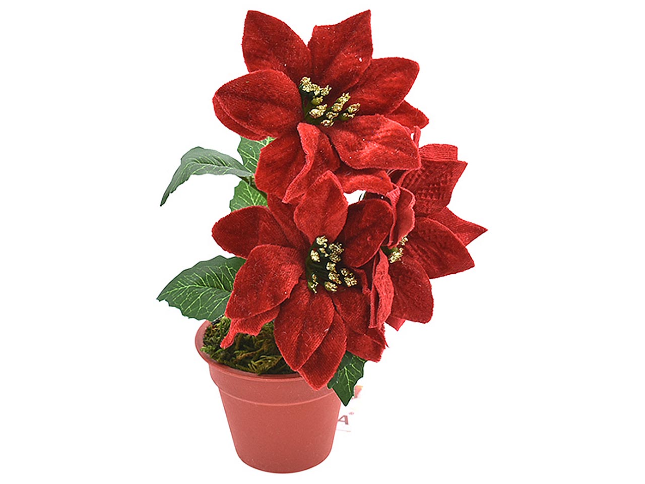 Stella di natale c/vaso rossa 4105824