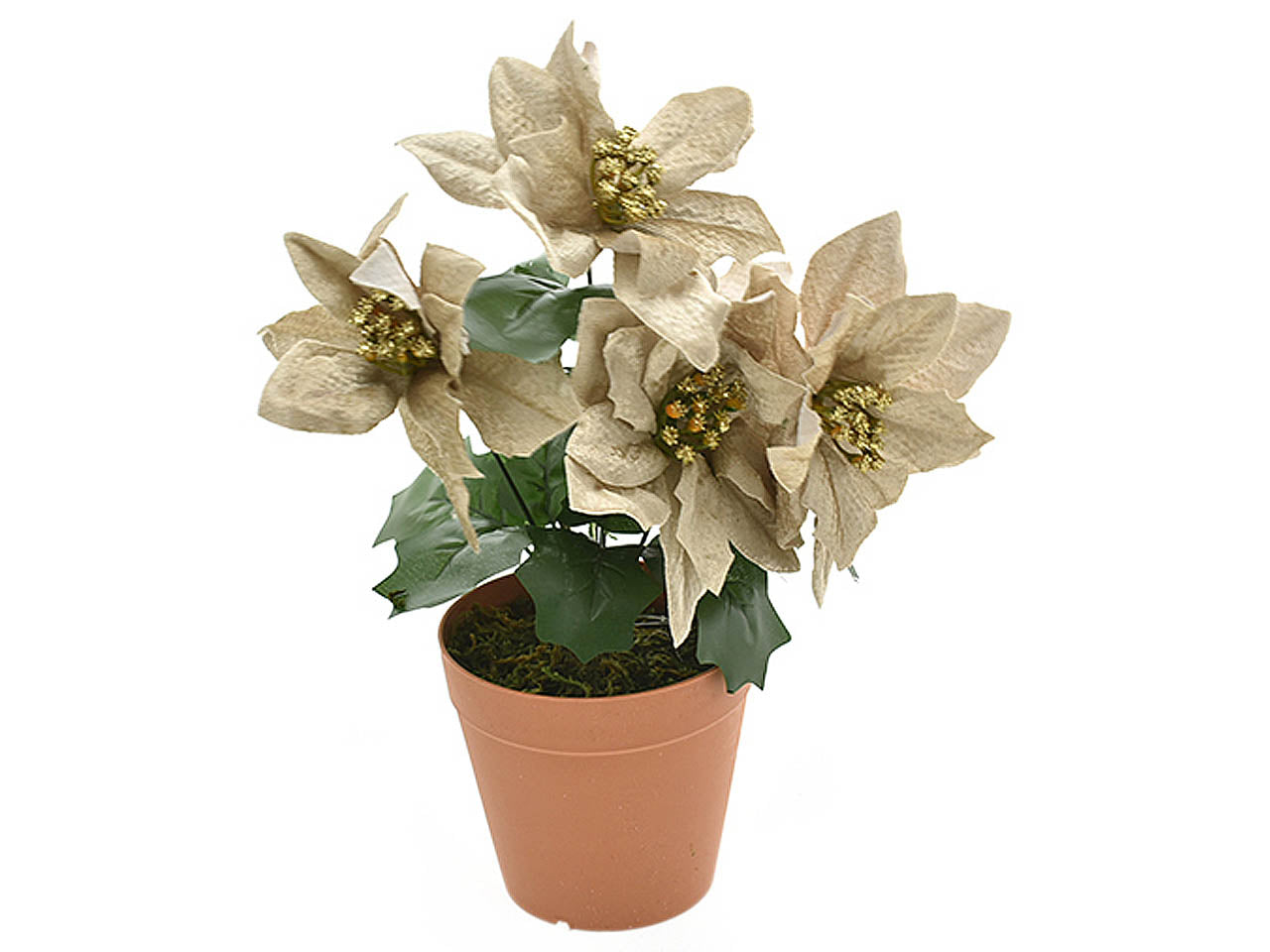Stella di natale c/vaso champagne 4105840