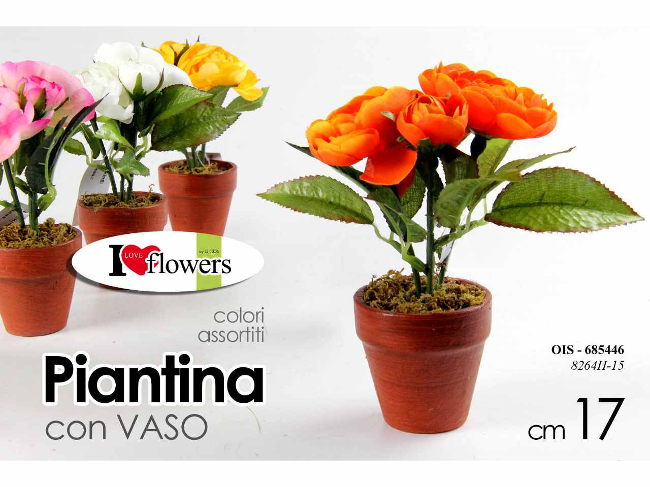 Piantina 17cm 685446