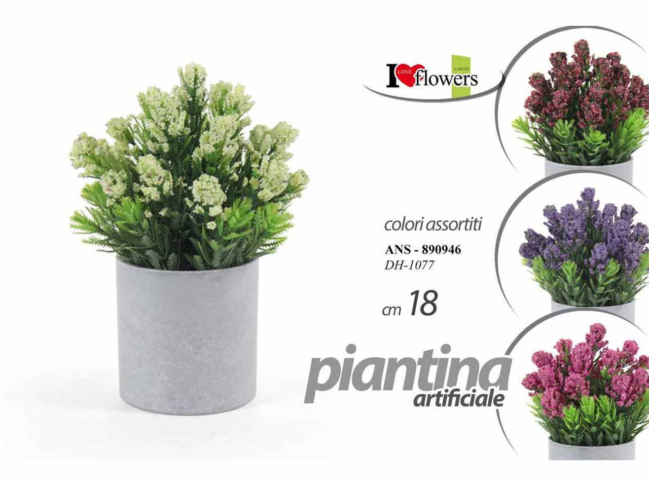 Piantina 18cm820946