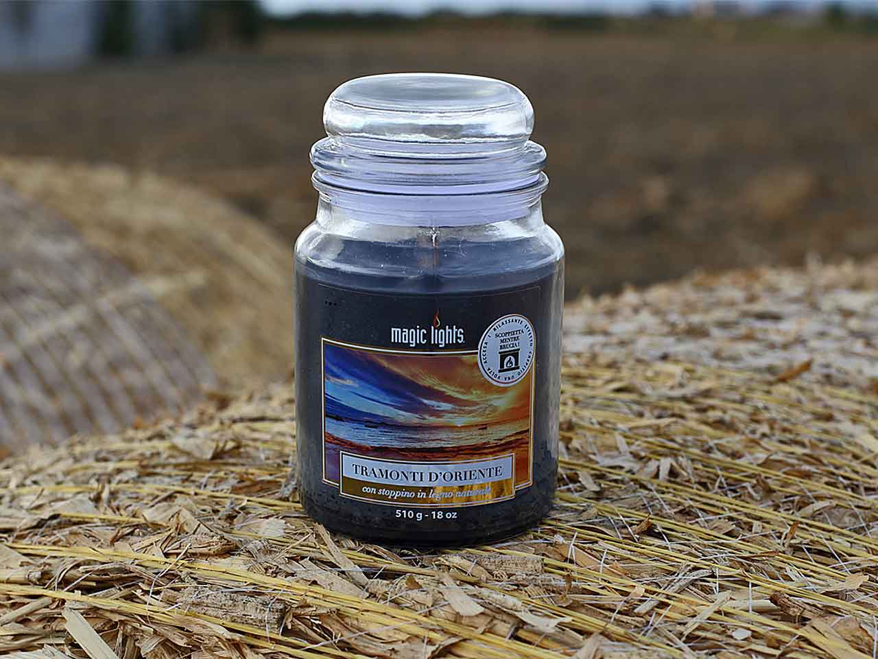 Candela barattolo 510gr sandalo 90076