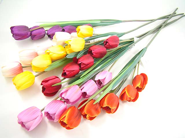 Tulipano 5 fiori gig 17141