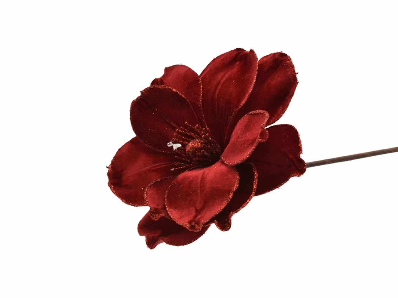 Fiore gambo lungo rosso