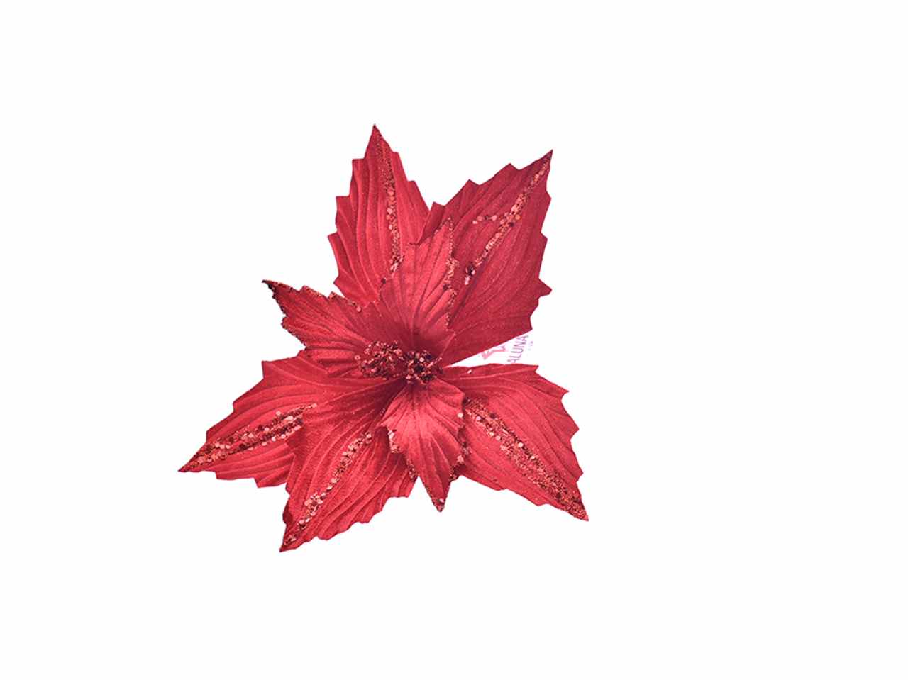 Fiore gambo corto rosso