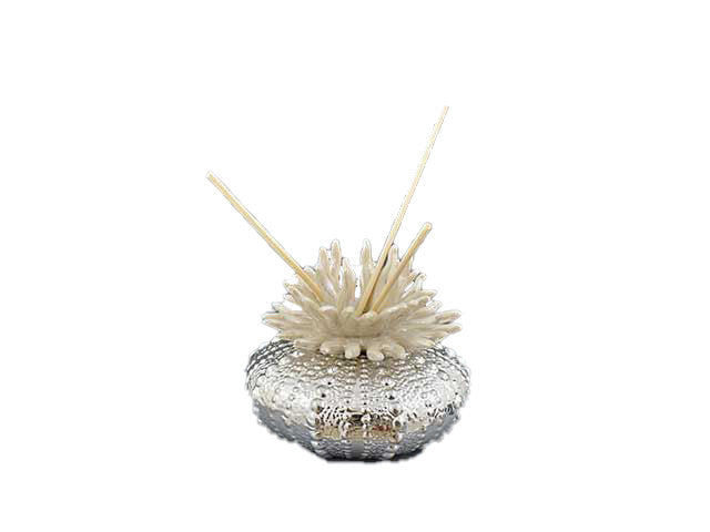 Silwhite creamcoral prof.basso 875x184