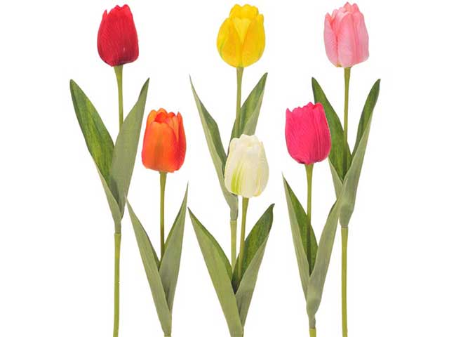 Tulipano singolo 49cm ass.2fv411