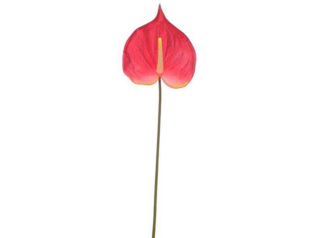 Ramo anthrium 62cm rosso 2fce632