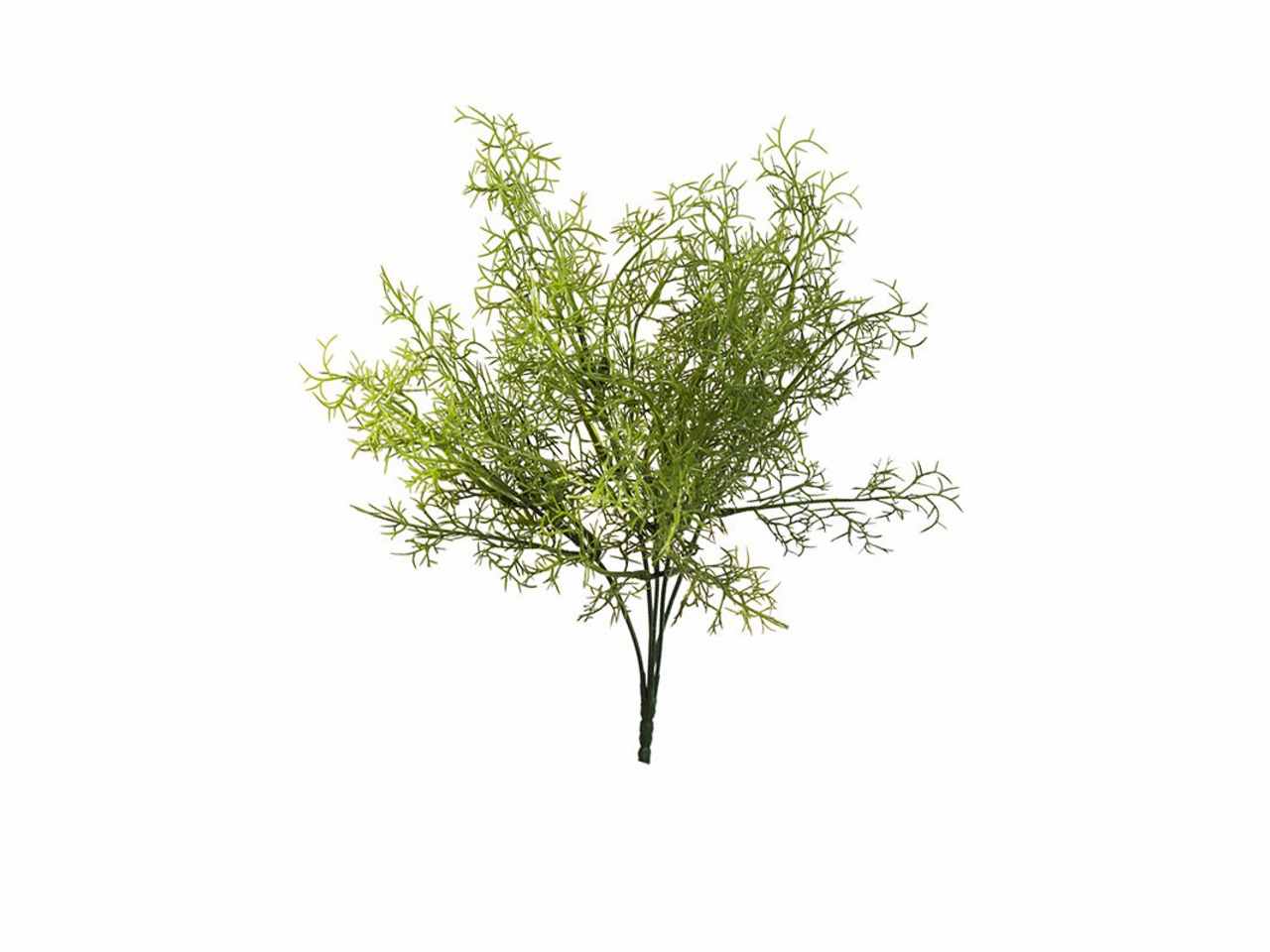 Mazzo asparagus x5 35cm verde 2pv486