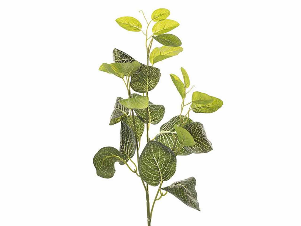 Ramo peperomia x3 67cm bianco e verde