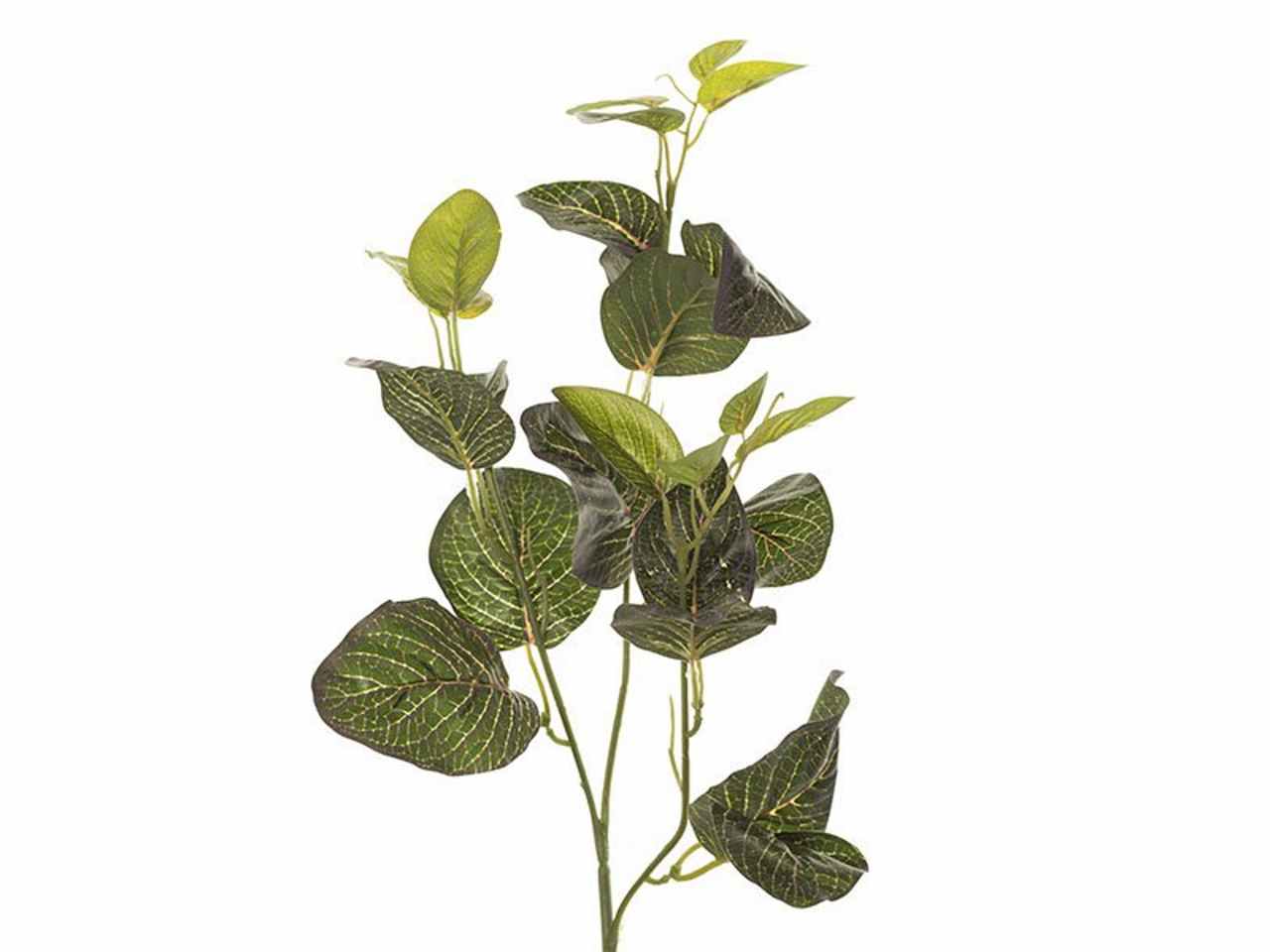 Ramo peperomia x3 67cm bianco e rosso