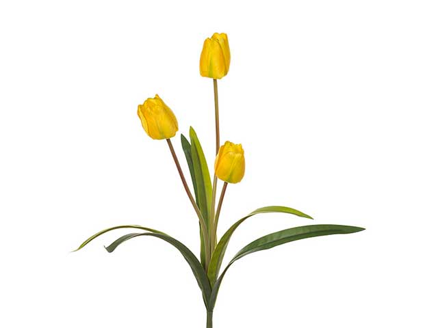 Ramo con tulipani x3 h.50cm gialli