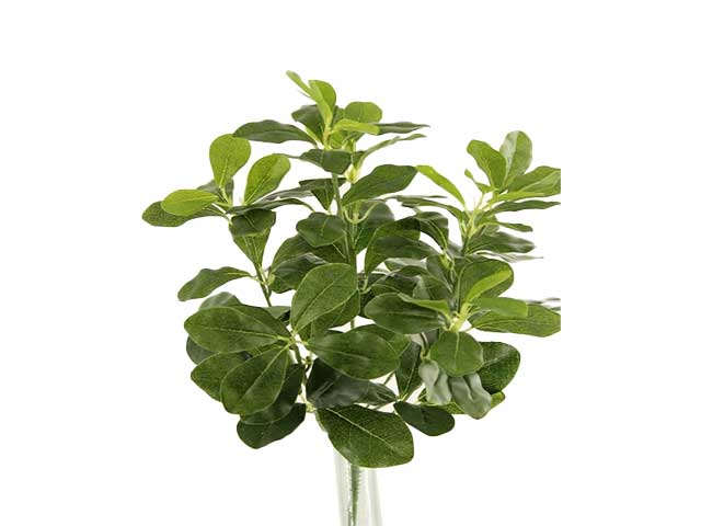Mazzo scheflera x7 38cm verde 2pv833