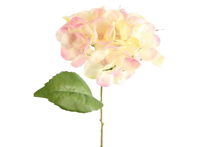 Ortensia rosa 2fhz354