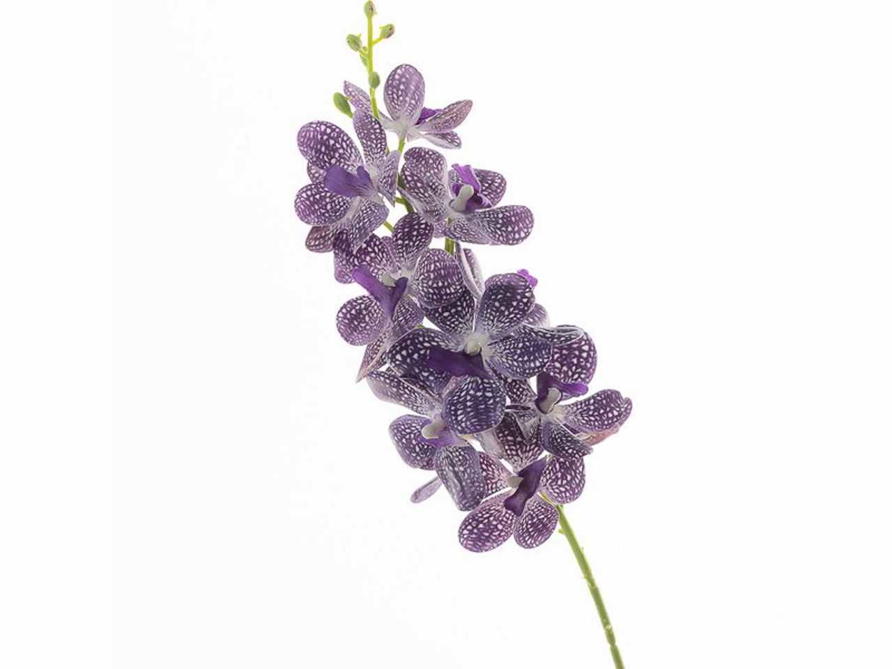 Ramo con fiori di orchidea viola