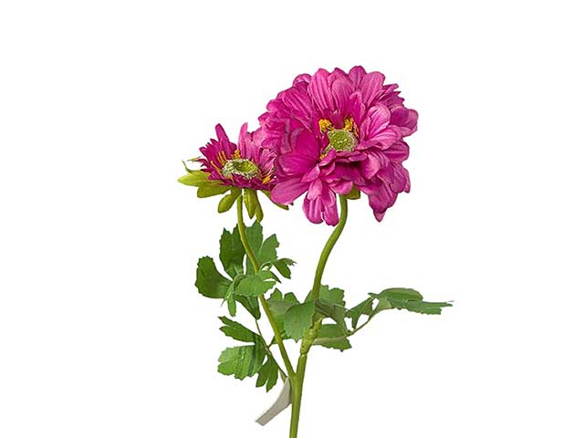 Mazzo gerbera x2 55cm 2fhz453