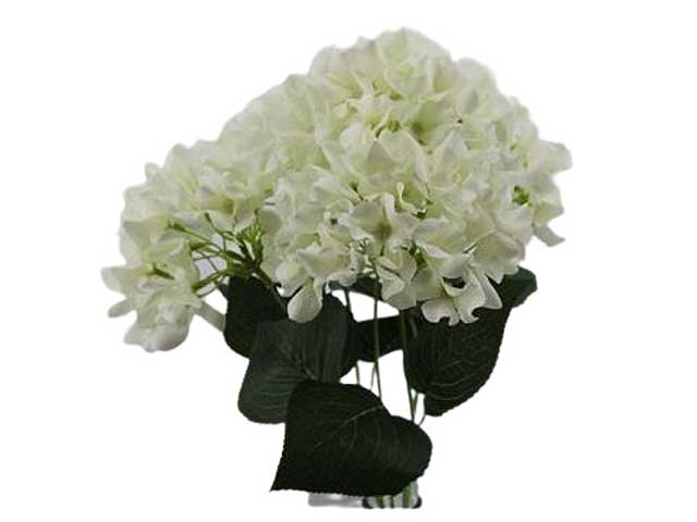 Mazzo di ortensie x5 misura 43cm colore crema