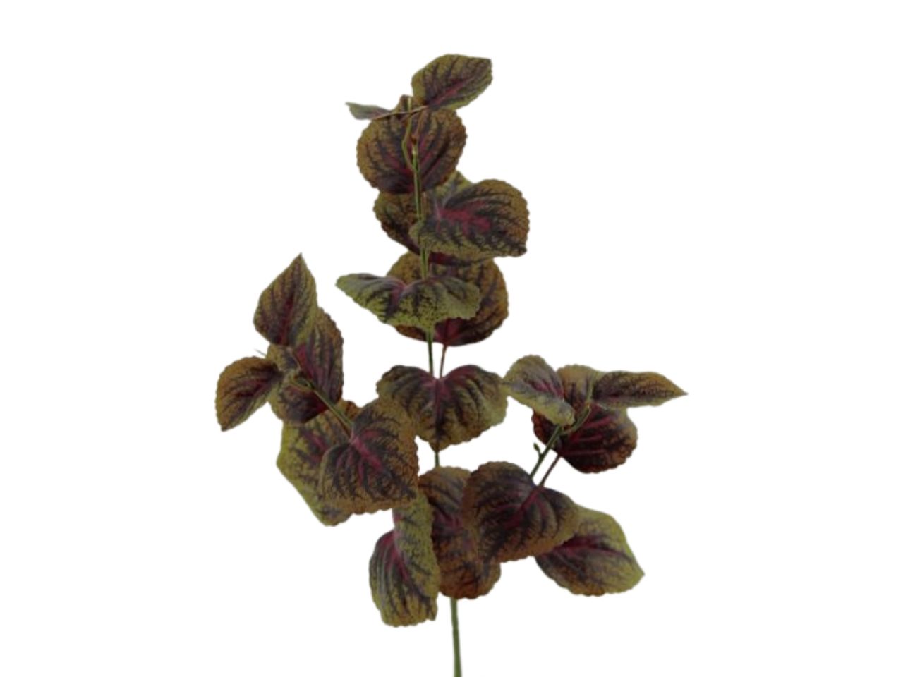 Ramo coleus x3 66cm verde