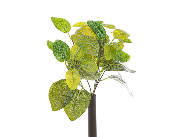 Mazzo foglie fittonia x7 27cm 2pv1376