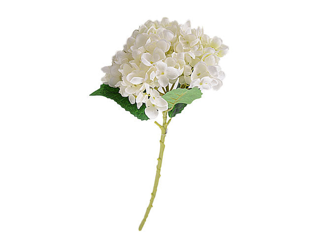 Mazzo ortensia x5 43cm bianco 2fhz457