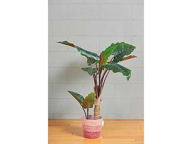 Pianta colocasia 134cm verde 2pv1654