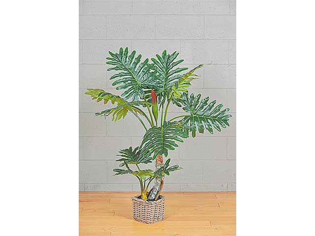 Pianta philo con vaso 130cm verde 2pv1652