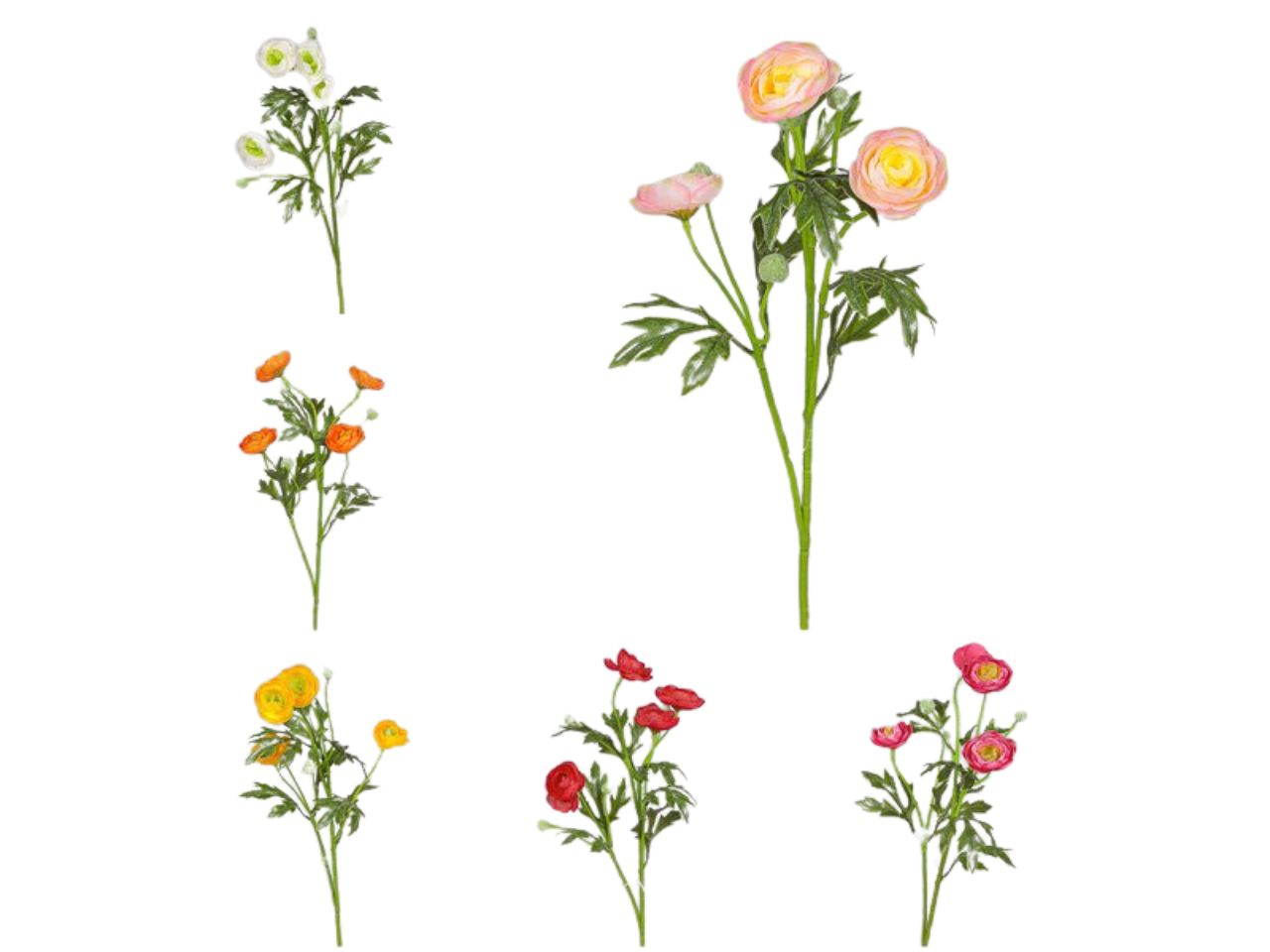 Ramo con ranuncoli 55cm colori assortiti