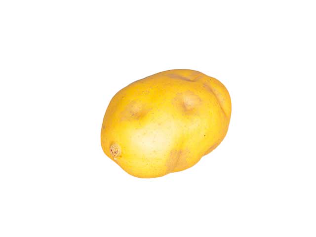 Patata 10x7x6cm 1mme22