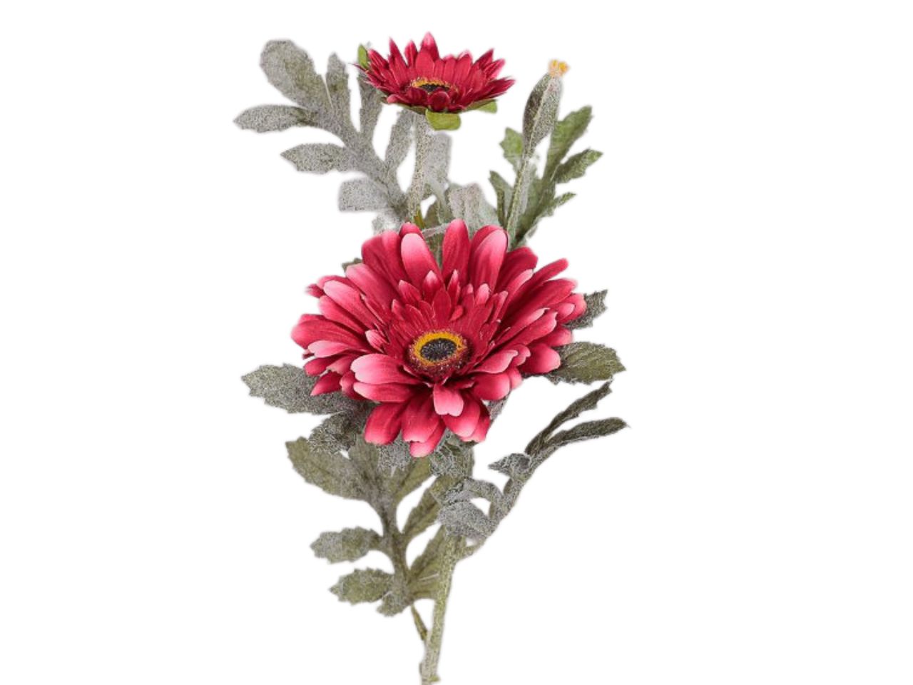 Ramo con gerbere x2 fiori beauty