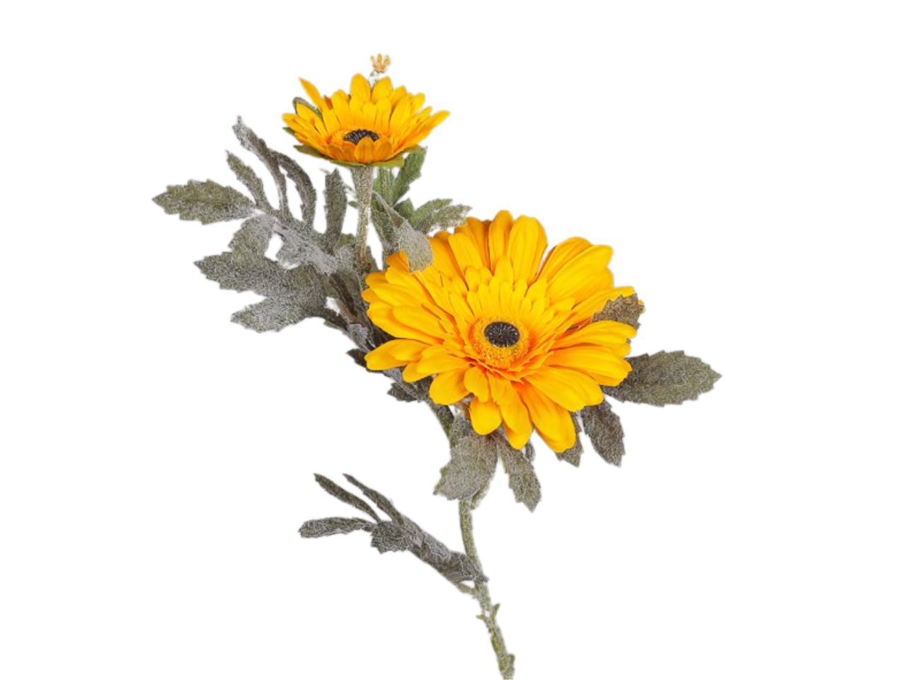 Ramo con gerbere x2 fiori gialli