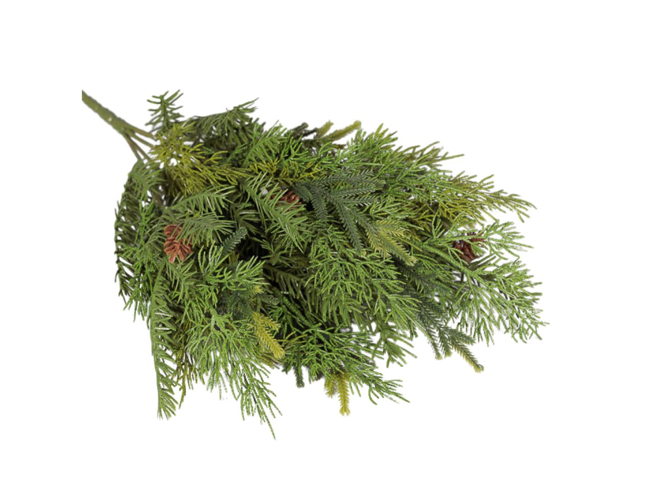 Mazzo pino 55cm con pigneverde 1nbv1466