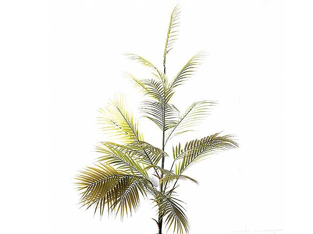 Ramo verde 65x69x140cm 2pv1709