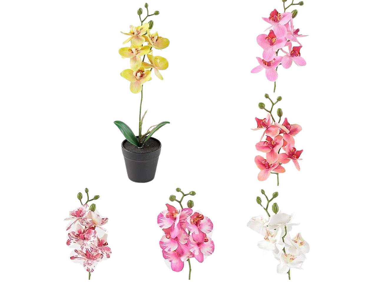 Orchidea in vaso 37cm 2fhz893
