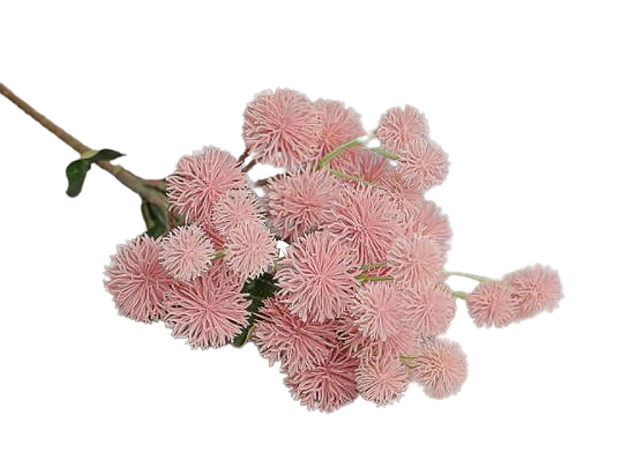 Ramo pom pom 18x65cm rosa 2fv1877