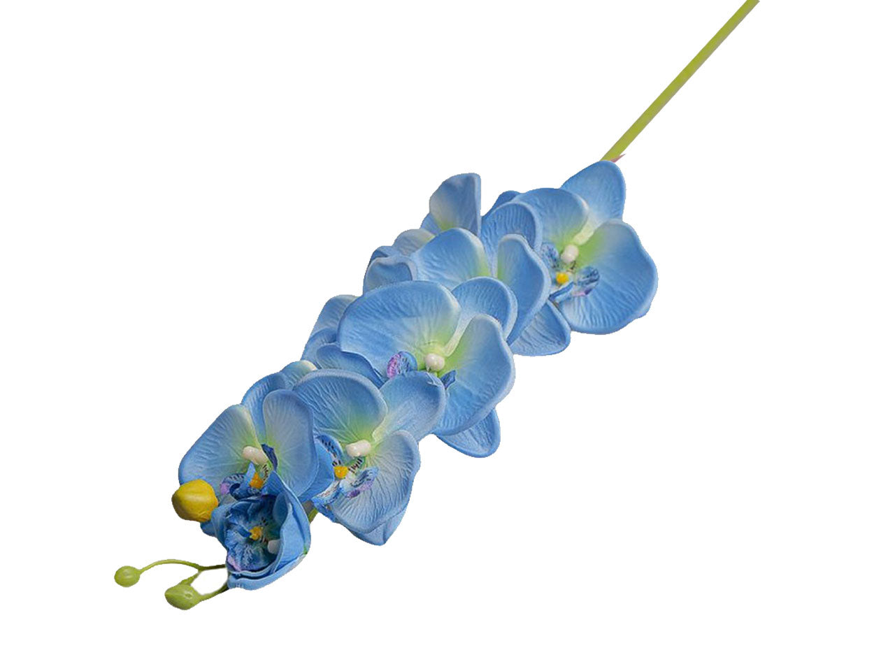 Ramo con fiori di orchidea 87cm blu