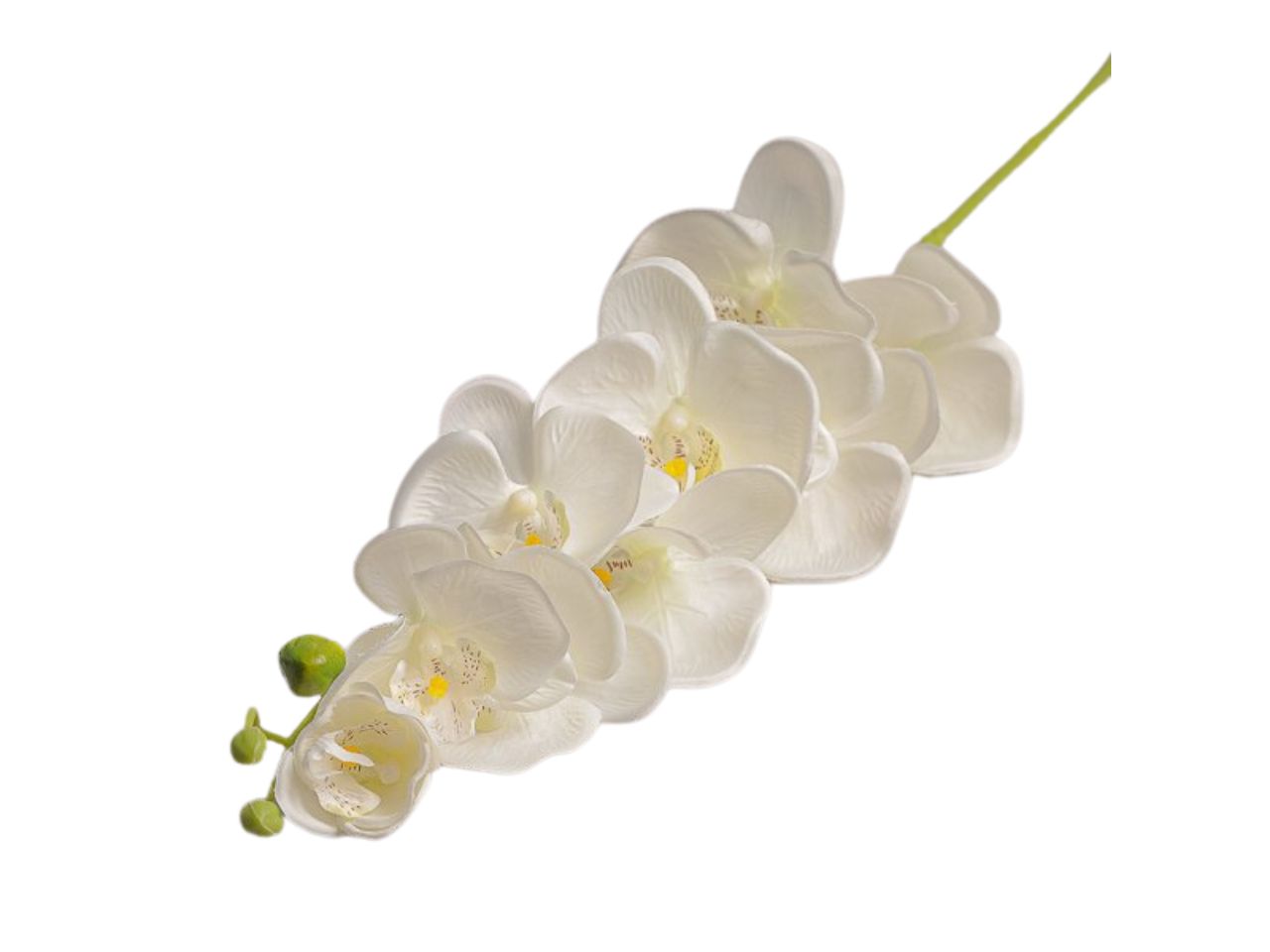 Ramo con fiori di orchidea 87cm crema