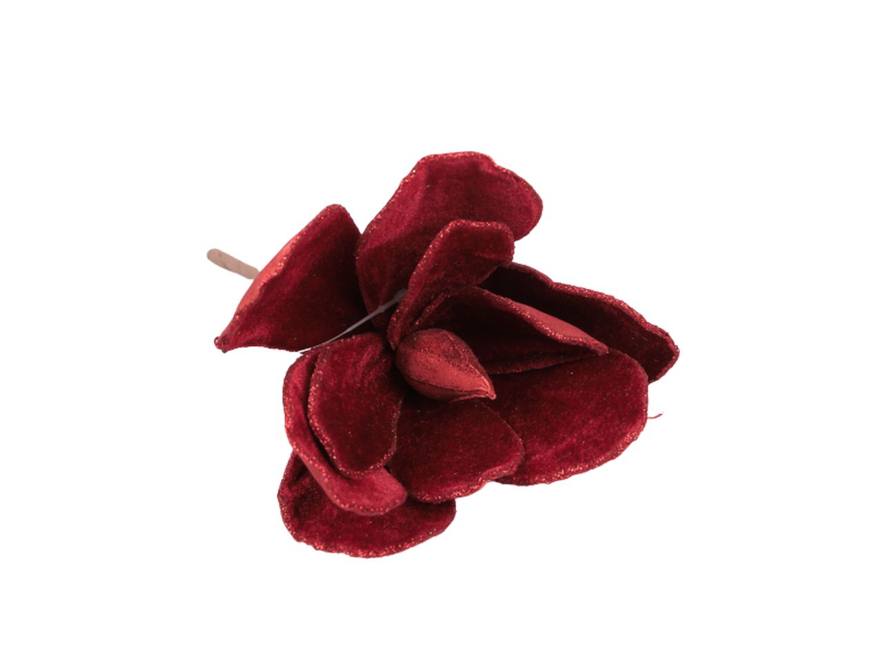 Magnolia velluto 21cm burgundy 1nhz1420