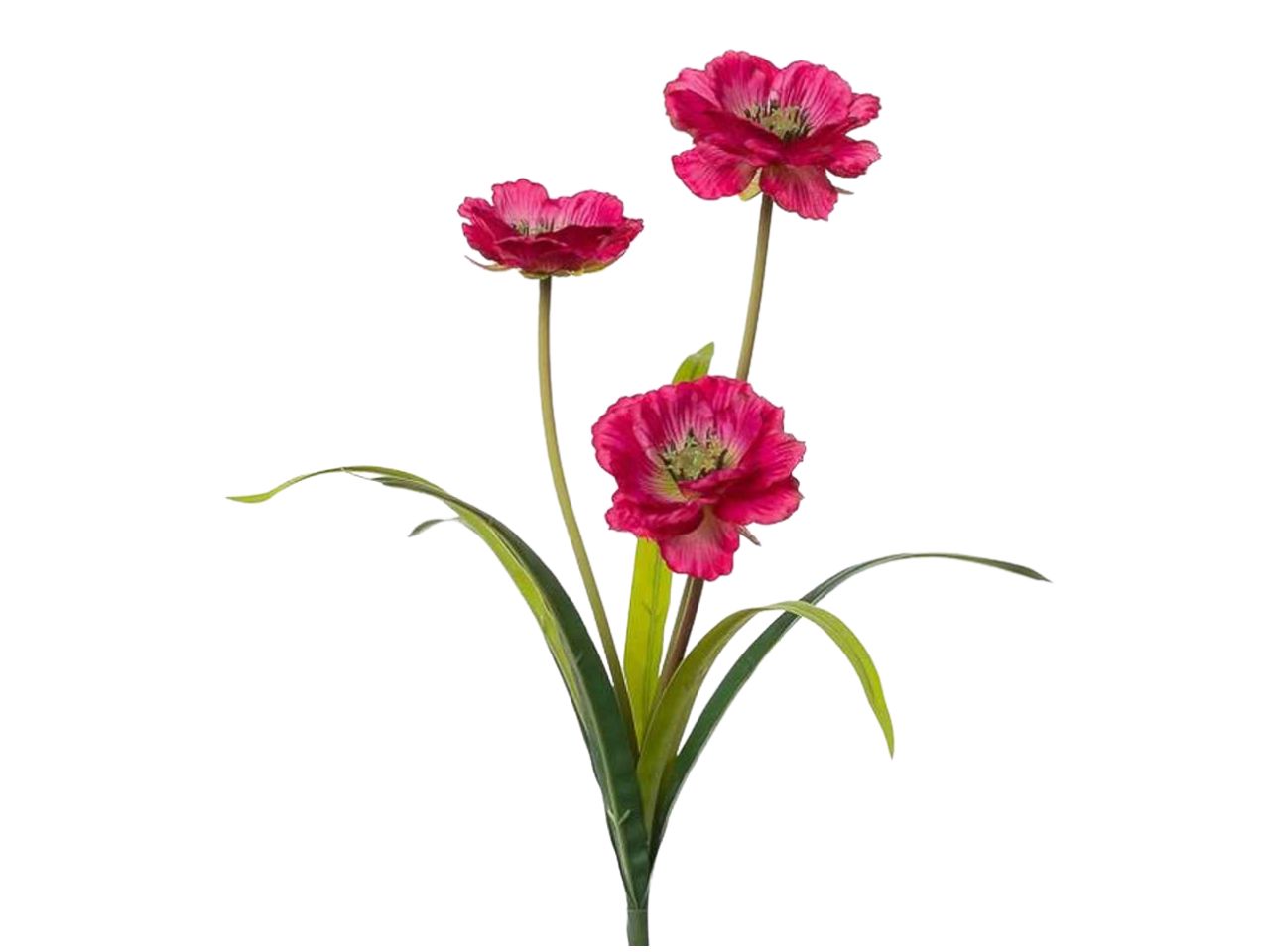Ramo con anemoni x3 29x28x45cm beauty