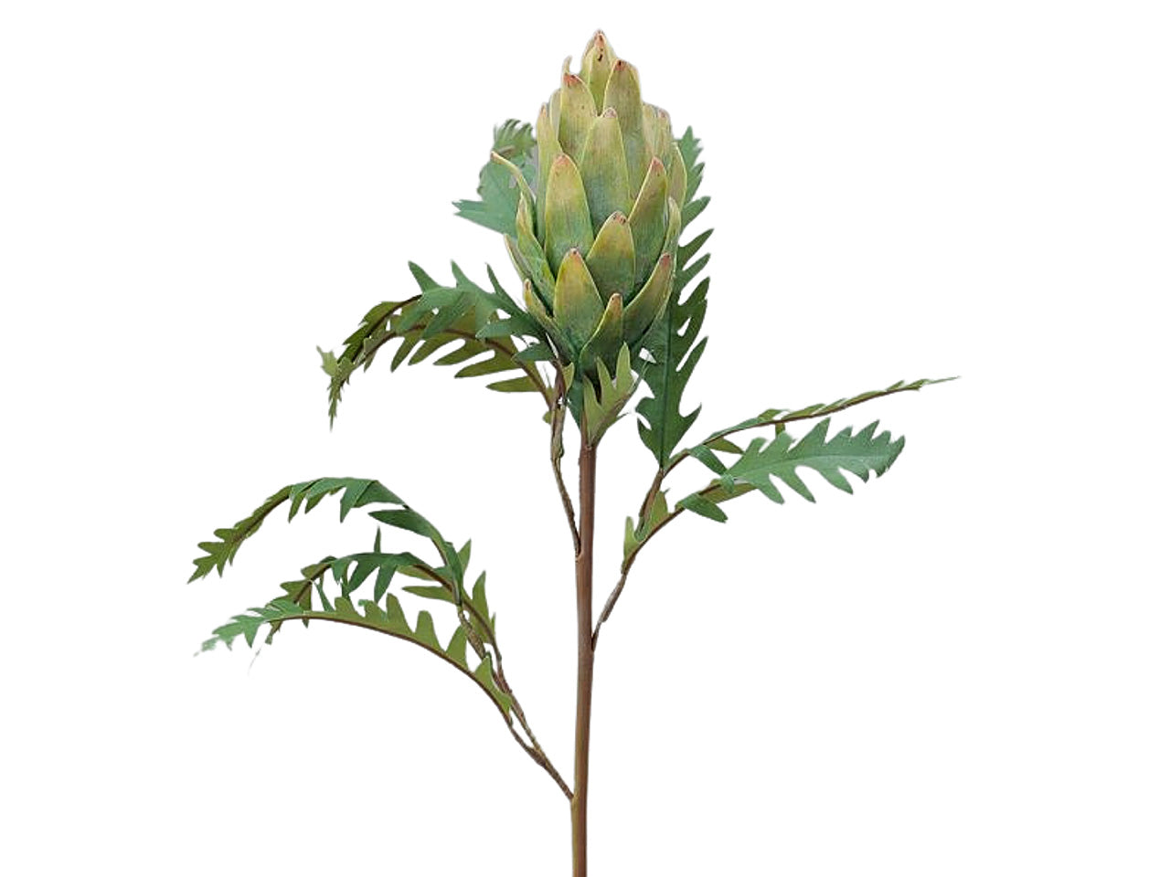 Ramo protea 73cm verde 2fhz1448