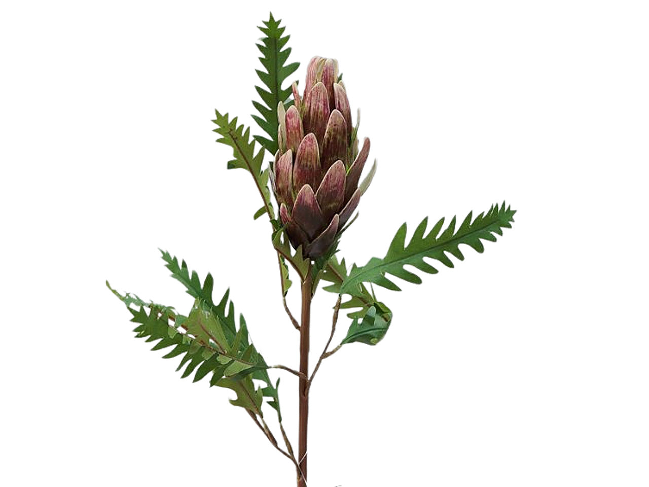 Ramo protea 73cm viola 2fhz1448