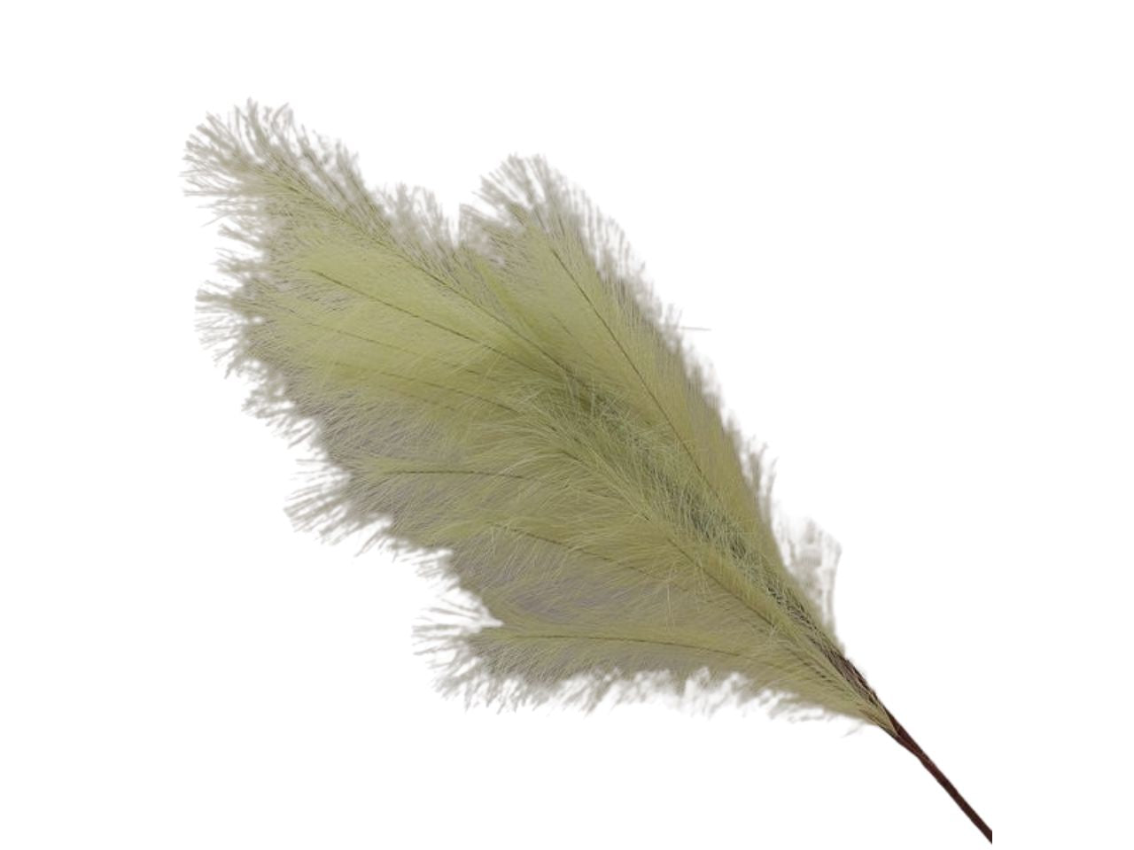 Ramo di pampas medio misura 105cm colore verde