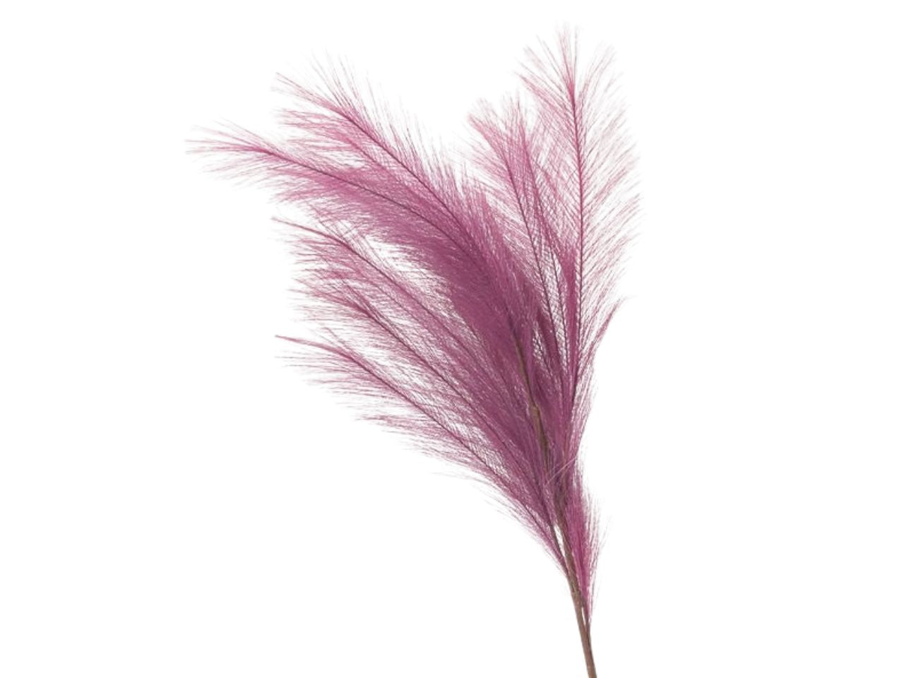 Ramo con pampas 105cm viola
