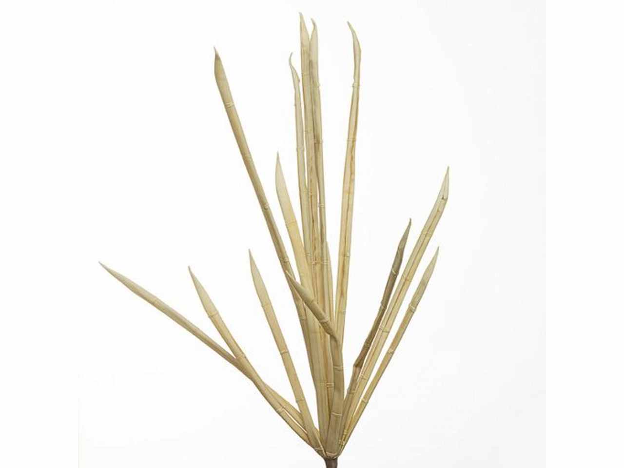 Mazzo bambu' 97cm crema 2phz1815