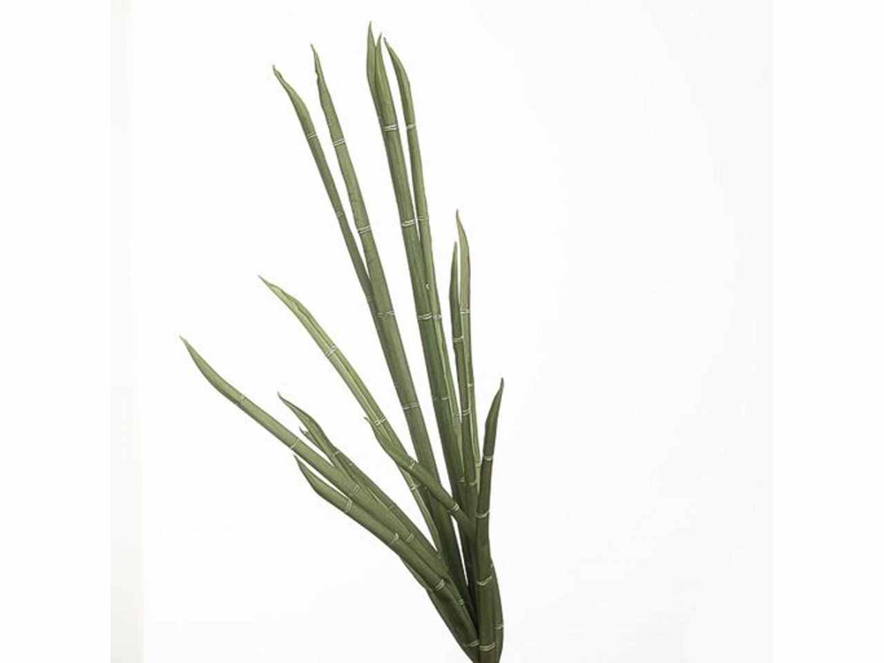 Mazzo bambu' 97cm verde 2phz1815