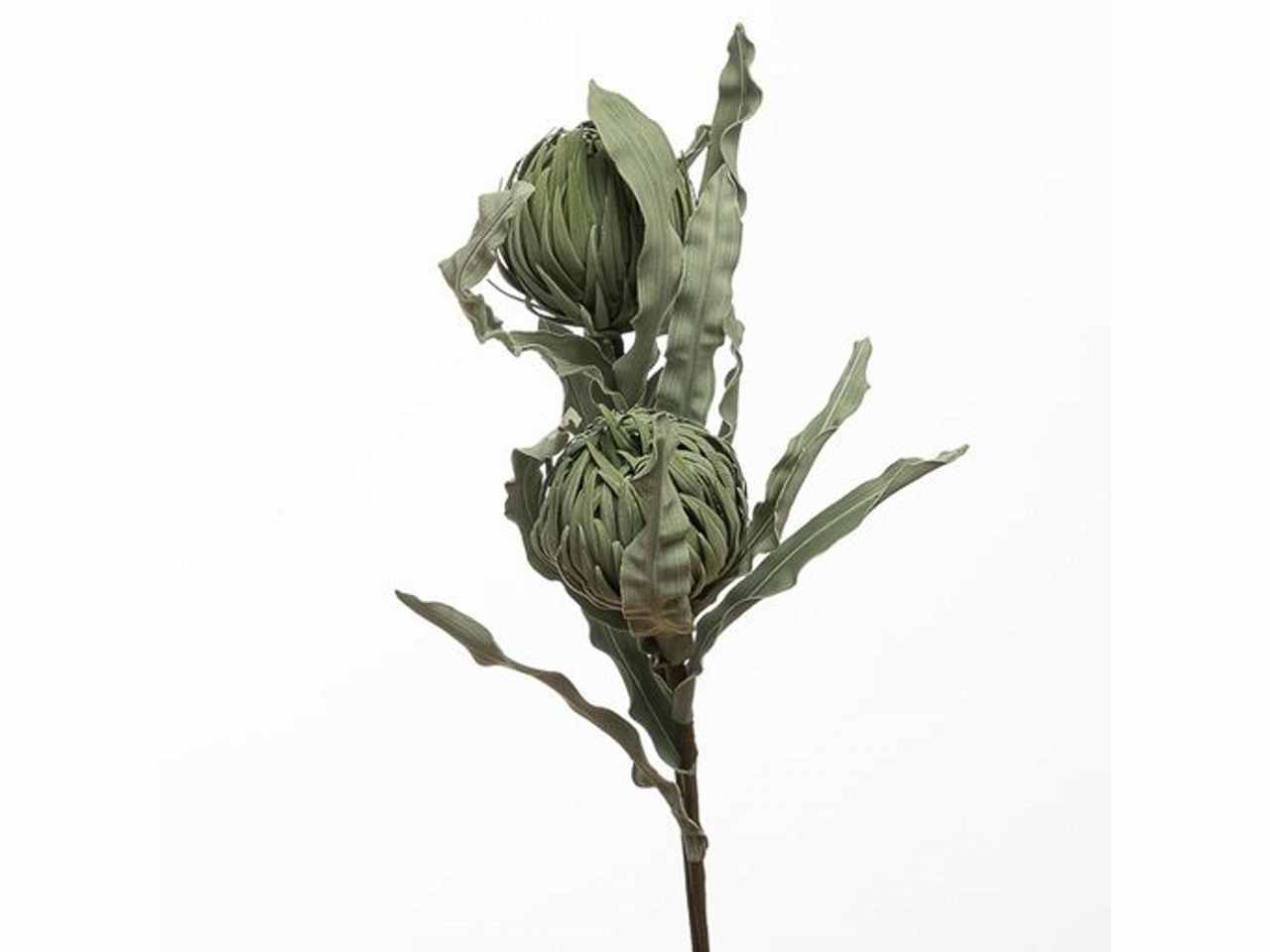 Ramo protea x2 103cm verde 2fhz1814
