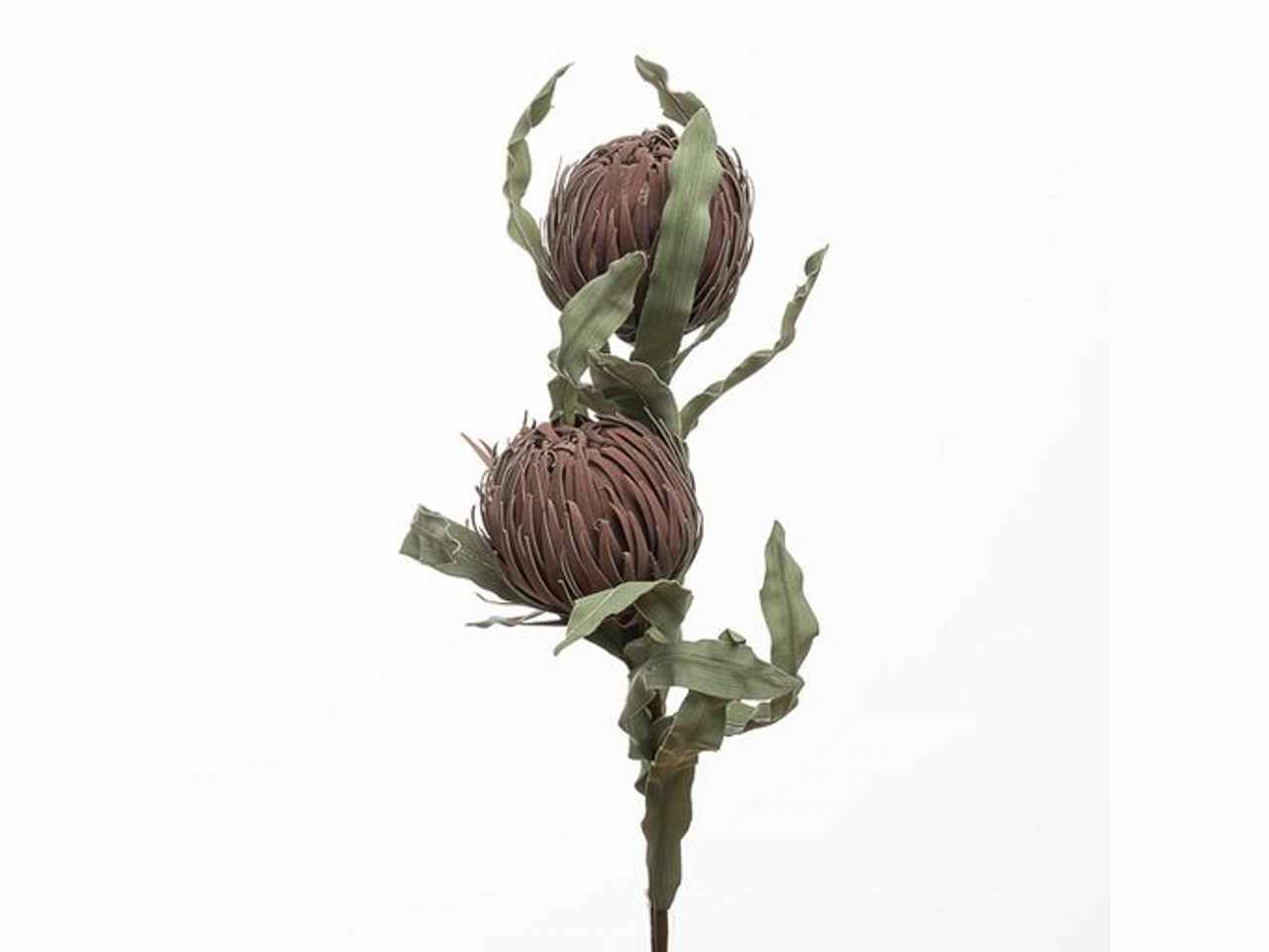 Ramo protea x2 103cm viola 2fhz1814