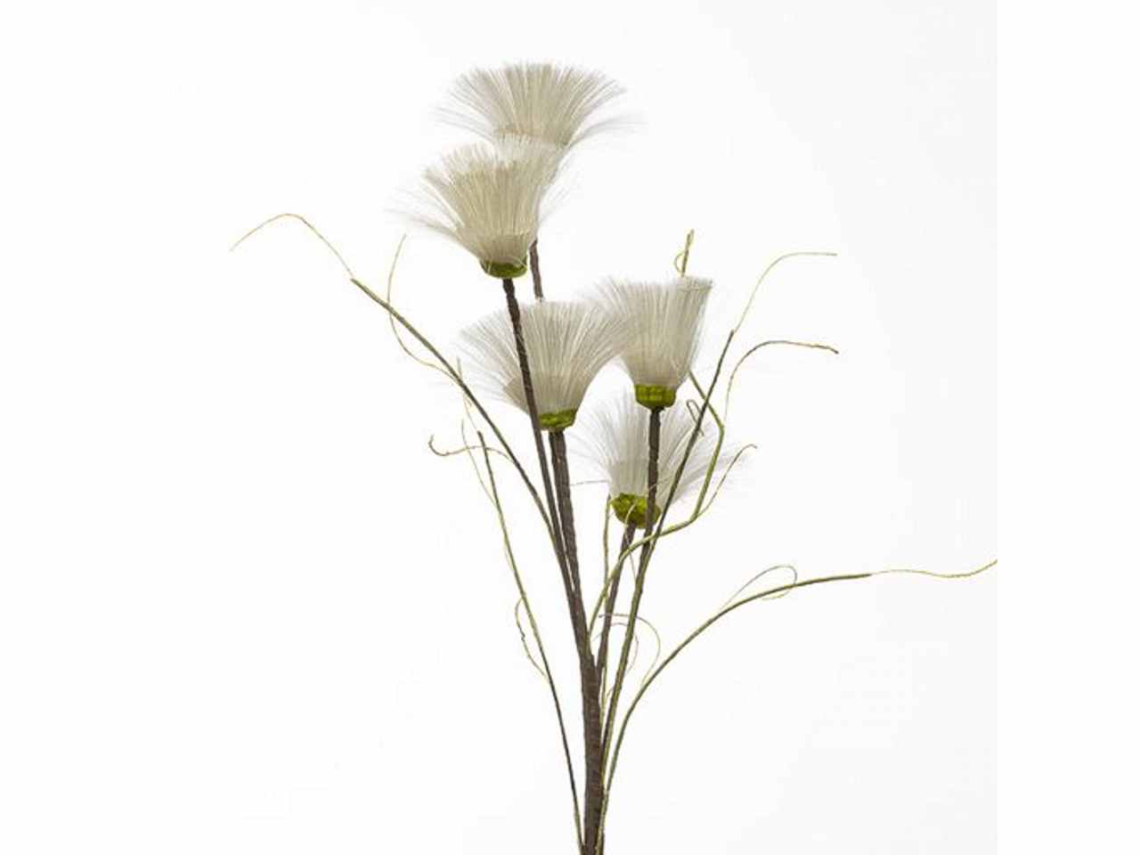 Ramo pampas cm 100 crema 2phz1809