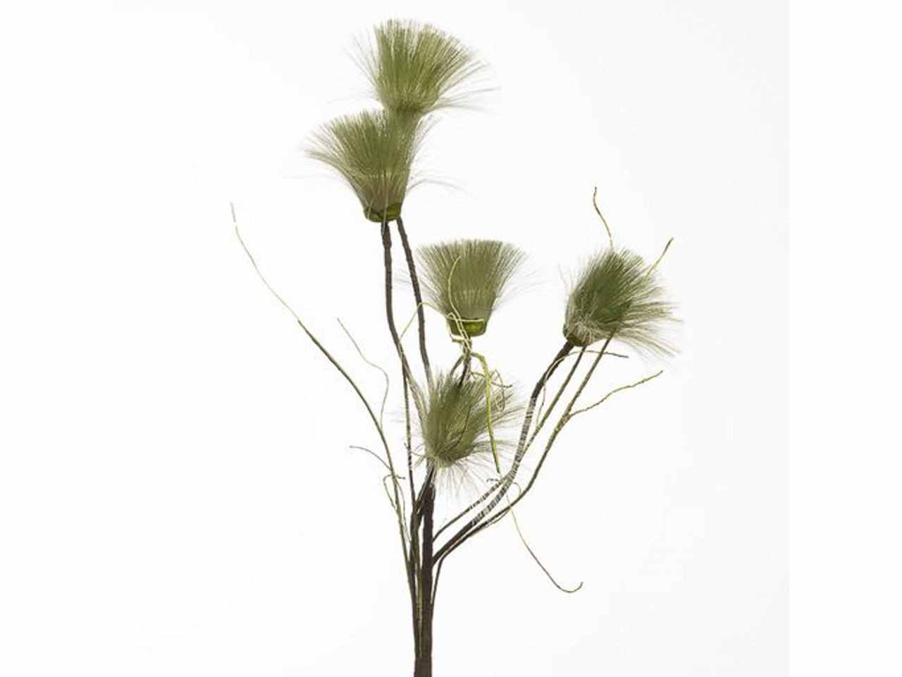 Ramo pampas 100cm verde 2phz1809