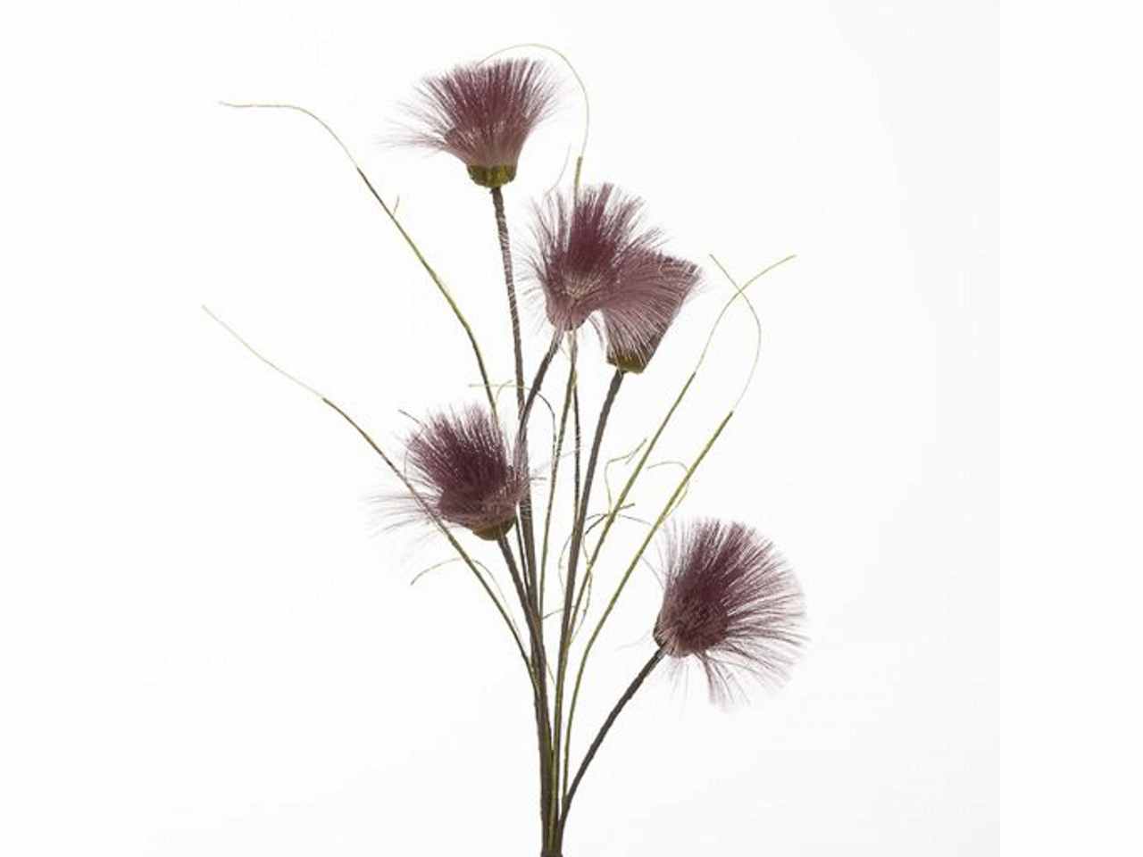 Ramo pampas 100cm viola 2phz1809