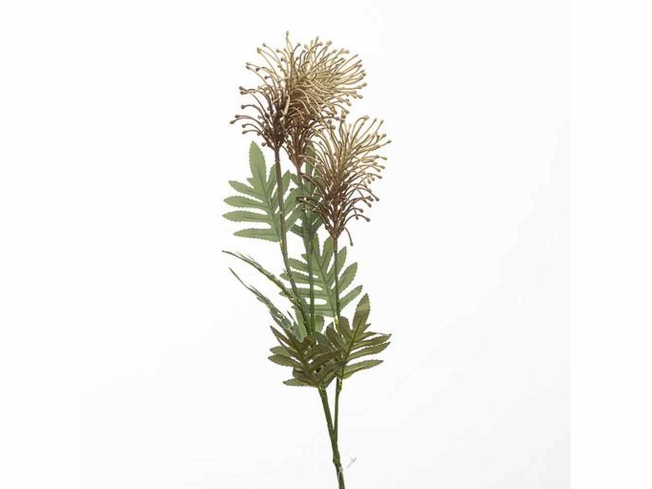 Ramo protea x3 80cm beige 2fhz1848
