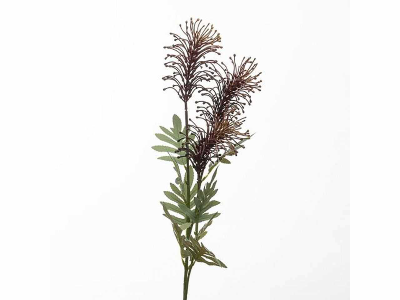 Ramo protea x3 80cm burgundy 2fhz1848